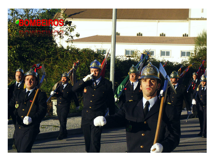 PICT0029