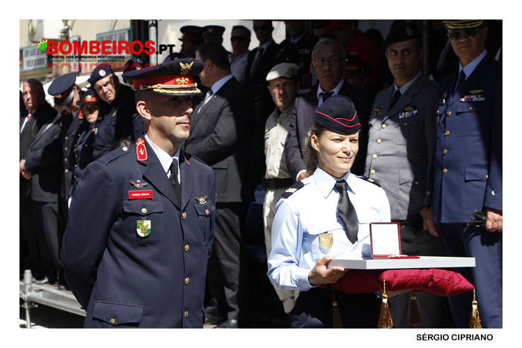 MG 7986