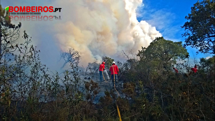 Coelho joao viladobispo2