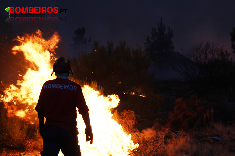 Ferreira Filipe De frente.jpeg