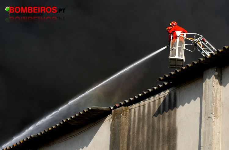 gouveia rui determinação