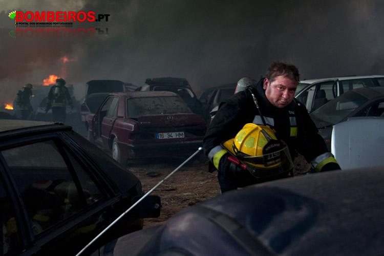 Maia Diogo o regresso do inferno